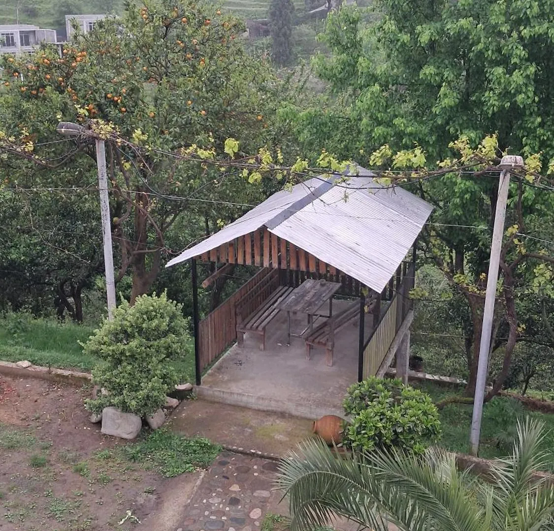 Villa In Urekhi Batumi