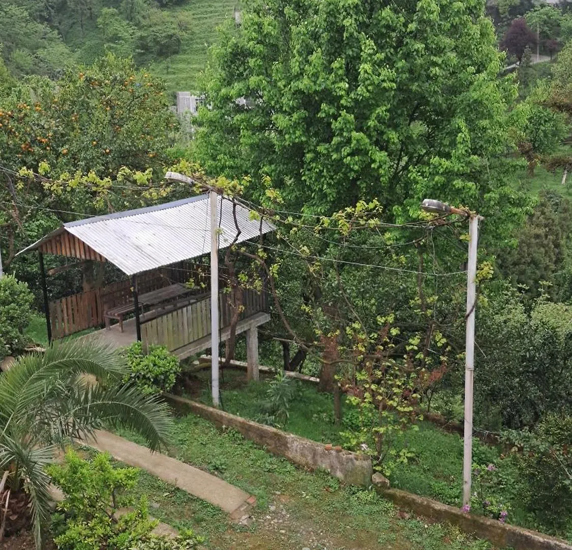 Villa In Urekhi Batumi
