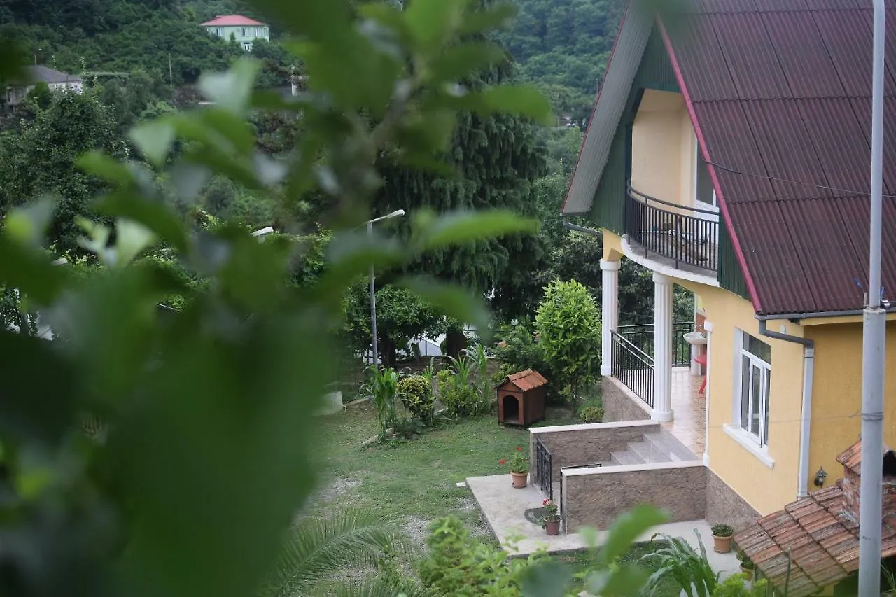 Villa In Urekhi Batumi